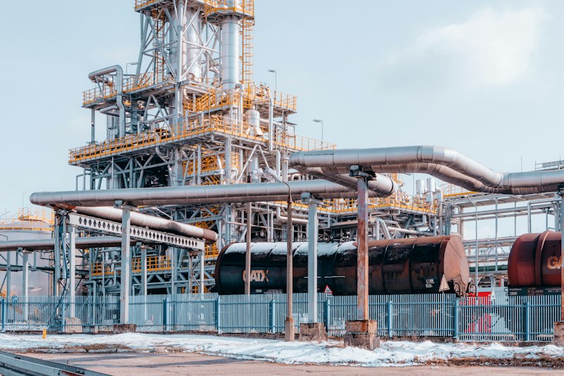 Process plant with pipe racks